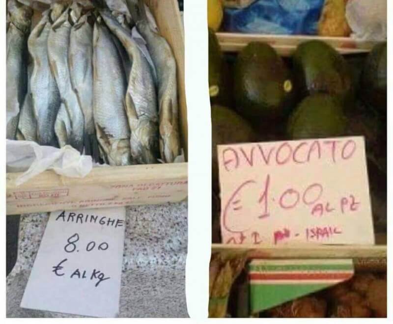 Avvocati e arringhe