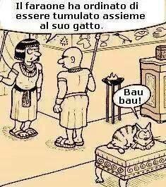 O bau o miao