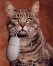 Gatto tecnologicamente avanzato