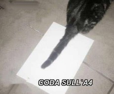 Coda sull'A4