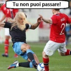 Gandalf in campo