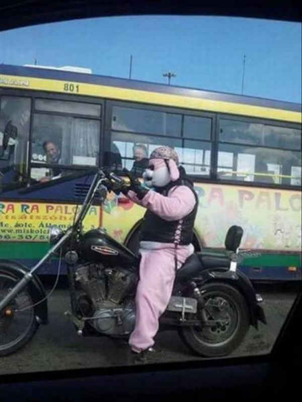 Un motociclista serio