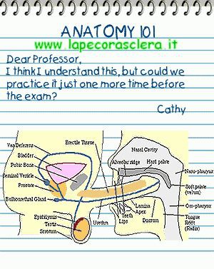 lezioni di anatomia