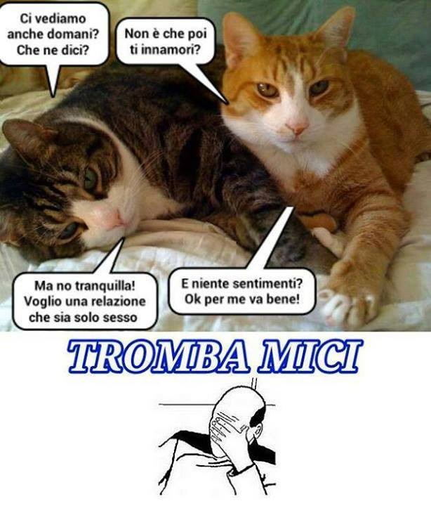 Tromba-mici