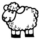 01-07-big_sheep.jpg