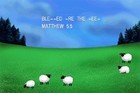 01-08-feed-my-sheep.jpg