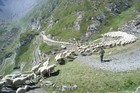 01-12-stradagreggewb8.jpg