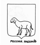 02-04-pecora_passante.jpg