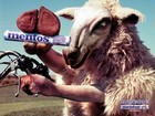 03-05-mentos-sheep.jpg