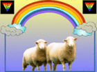 05-06-GaySheep2.gif