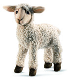 05-08-SheepLamb.jpg