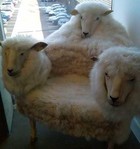 06-05-sheep-chair.jpg