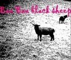 10-05-sheep.jpg