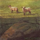 11-06-Adrian_Munsey_-_The_Lost_Sheep_front_sm.jpg
