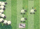 14-04-shooting-sheep.jpg