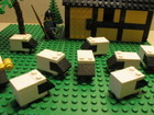 15-05-sheep1.jpg