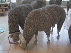 16-05-telephony-sheeps002.jpg