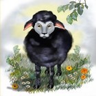 18-04-Baa-Baa-Black-Sheep-nursery-rhymes.jpg
