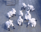 19-08-sheep2e.gif