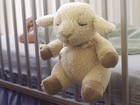 22-05-sleep_sheep_lg.jpg