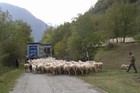 28-11-camion1gz4.jpg