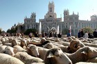 30-09-elpepuage.jpg