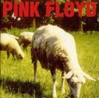 31-07-sheep.jpg
